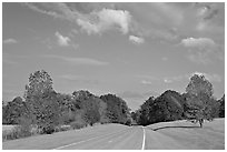 Road in meadow. Natchez Trace Parkway, Mississippi, USA (black and white)
