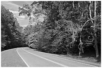 Road curve bordered by tree with Spanish Moss. Natchez Trace Parkway, Mississippi, USA (black and white)