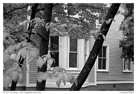 Leaves and house detail. Columbia, South Carolina, USA (black and white)