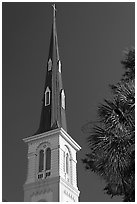 Tall church steeple. Charleston, South Carolina, USA ( black and white)