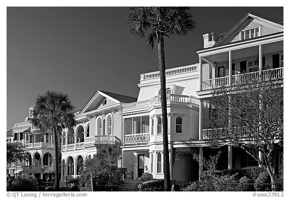 Row of Antebellum mansions. Charleston, South Carolina, USA (black and white)