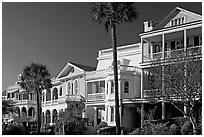Row of Antebellum mansions. Charleston, South Carolina, USA ( black and white)