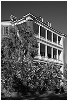 Historic antebellum mansion. Charleston, South Carolina, USA ( black and white)