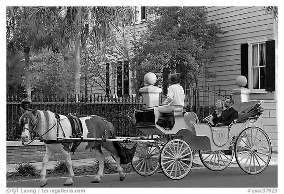 Couple on horse carriage tour of historic district. Charleston, South Carolina, USA (black and white)