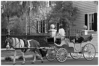 Couple on horse carriage tour of historic district. Charleston, South Carolina, USA ( black and white)