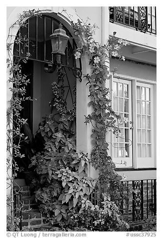 Flowered home entrance. Charleston, South Carolina, USA (black and white)