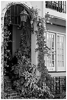 Flowered home entrance. Charleston, South Carolina, USA (black and white)