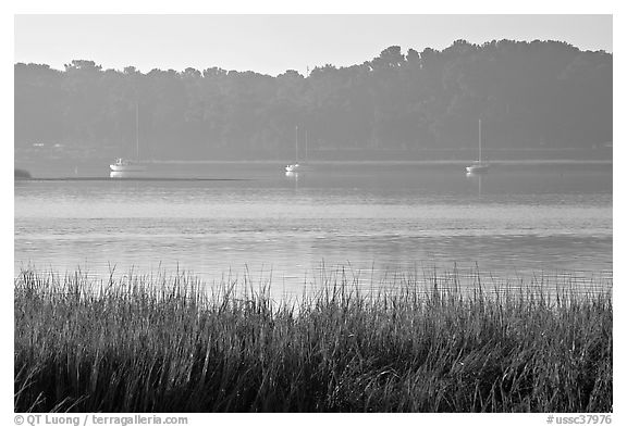 Beaufort Bay, with grasses and yachts. Beaufort, South Carolina, USA (black and white)