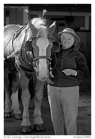 Woman and carriage horse. Beaufort, South Carolina, USA
