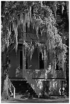 Spanish moss and balcony house. Beaufort, South Carolina, USA (black and white)