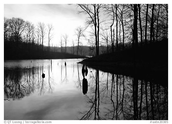 Sunrise over a pond. Tennessee, USA (black and white)