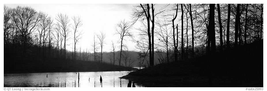 Winter landscape with bare trees and pond at sunrise. Tennessee, USA (black and white)