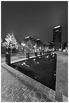 Refecting basin and skyline by night. Nashville, Tennessee, USA (black and white)