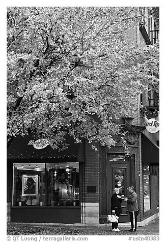 Tree in fall foliage and brick building. Nashville, Tennessee, USA (black and white)