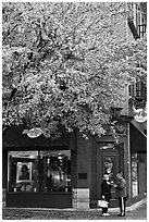 Tree in fall foliage and brick building. Nashville, Tennessee, USA ( black and white)