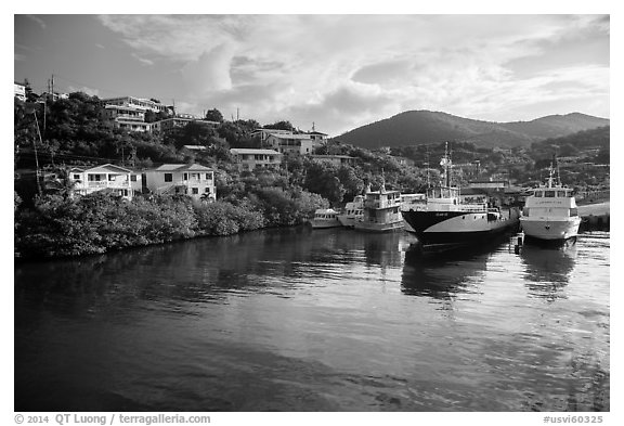 Ferry harbor, Cruz Bay. Saint John, US Virgin Islands (black and white)