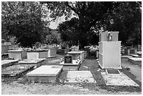 Tombs, Charlotte Amalie. Saint Thomas, US Virgin Islands ( black and white)