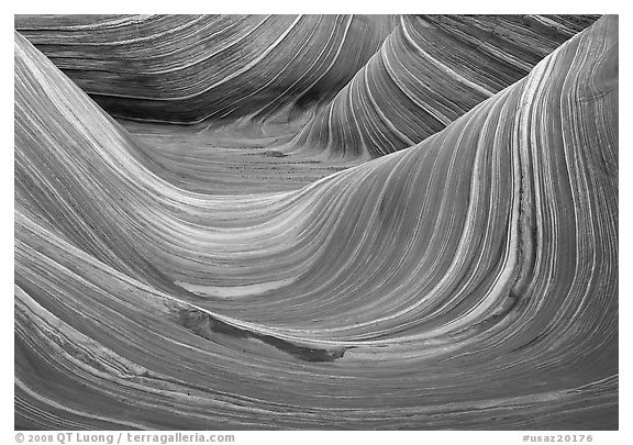 The Wave, main formation. Coyote Buttes, Vermilion cliffs National Monument, Arizona, USA (black and white)