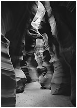 Upper Antelope Canyon. USA ( black and white)