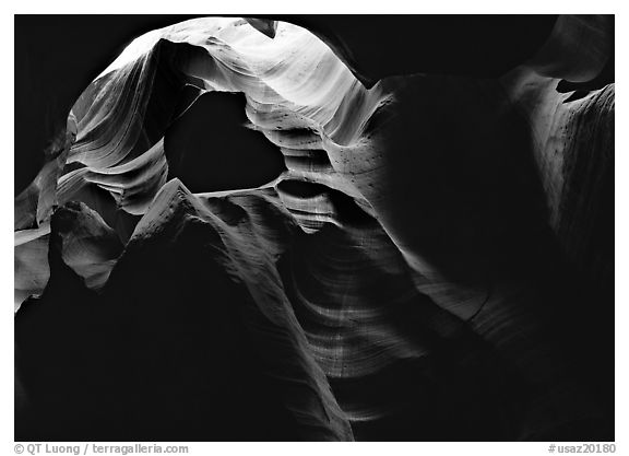 Sandstone walls sculpted by fast moving water, Upper Antelope Canyon. USA (black and white)
