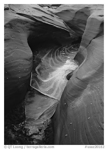 Frozen water and red sandstone, Water Holes Canyon. USA (black and white)
