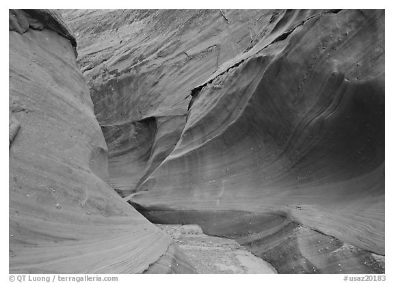 Water Holes Canyon. Arizona, USA (black and white)