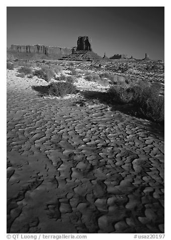 Clay pattern on floor and buttes in winter. USA (black and white)