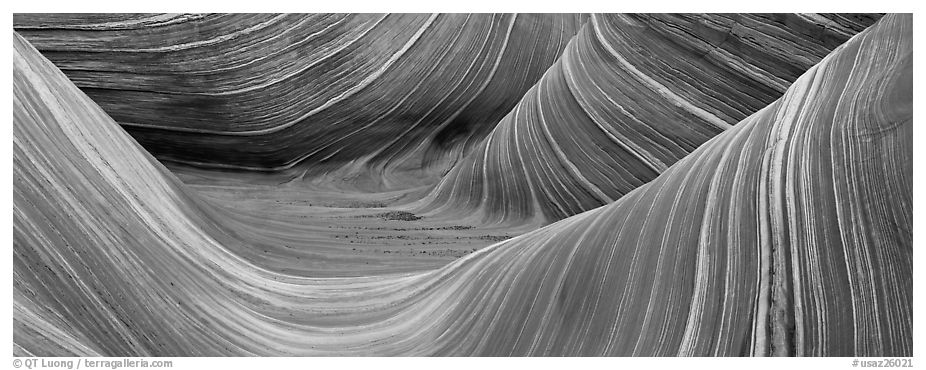 The Wave. Coyote Buttes, Vermilion cliffs National Monument, Arizona, USA (black and white)