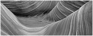 The Wave. Coyote Buttes, Vermilion cliffs National Monument, Arizona, USA (Panoramic black and white)