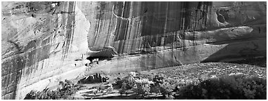 Canyon de Chelly scenery with ruin and trees in autumn color. Canyon de Chelly  National Monument, Arizona, USA (Panoramic black and white)