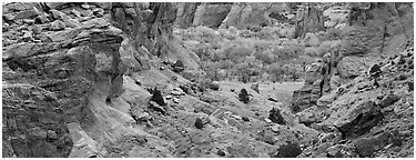 Canyon de Chelly landscape. Canyon de Chelly  National Monument, Arizona, USA (Panoramic black and white)