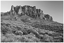 Wildflowers and  Superstition Mountains, Lost Dutchman State Park, sunset. Arizona, USA ( black and white)