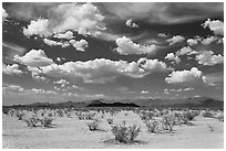 Pictures of Southern Arizona