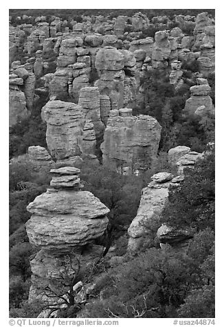 Rhyolite spires. Chiricahua National Monument, Arizona, USA