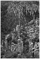 Rhyolite columns. Chiricahua National Monument, Arizona, USA (black and white)