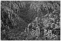 Landscape of spires from Massai Point. Chiricahua National Monument, Arizona, USA (black and white)