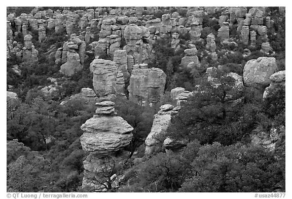 Rhyolite pinnacles. Chiricahua National Monument, Arizona, USA (black and white)