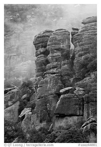 Pinnacles and fog. Chiricahua National Monument, Arizona, USA (black and white)
