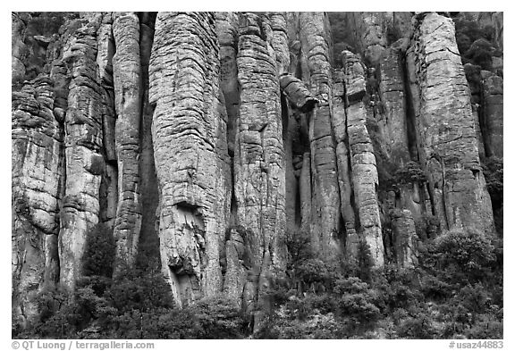 Organ pipe volcanic rock formations. Chiricahua National Monument, Arizona, USA