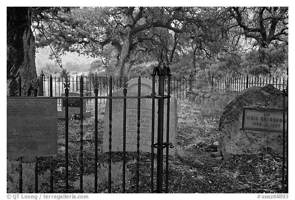 Erikson Cemetery. Chiricahua National Monument, Arizona, USA (black and white)