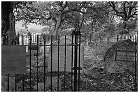 Erikson Cemetery. Chiricahua National Monument, Arizona, USA (black and white)