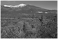 Lava fields and snow-capped San Francisco Peaks, Sunset Crater Volcano National Monument. Arizona, USA ( black and white)