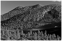 Cinder-covered slopes, Sunset Crater Volcano National Monument. Arizona, USA ( black and white)