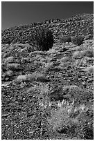 Volcanic hillside, Wupatki National Monument. Arizona, USA ( black and white)