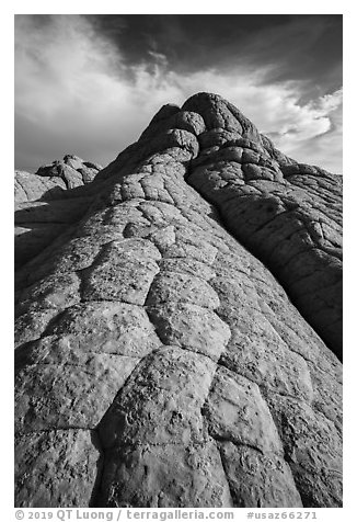 Cauliflower rock, White Pocket. Vermilion Cliffs National Monument, Arizona, USA (black and white)
