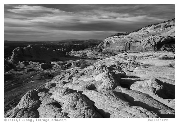 White pocket and cliffs, White Pocket. Vermilion Cliffs National Monument, Arizona, USA (black and white)