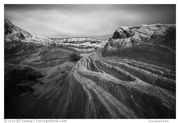 Sandstone streaks, White pocket. Vermilion Cliffs National Monument, Arizona, USA (black and white)