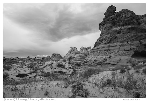Cottonwood Teepees, Coyote Buttes South. Vermilion Cliffs National Monument, Arizona, USA (black and white)