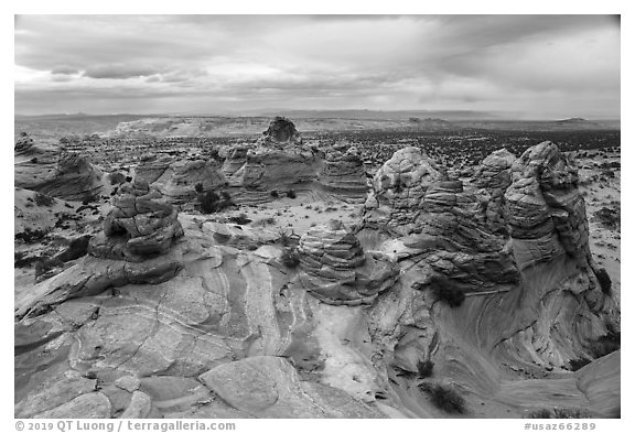 Cottonwood Cove, Coyote Buttes South. Vermilion Cliffs National Monument, Arizona, USA (black and white)