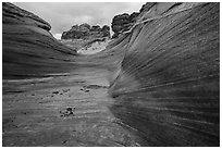 Striated canyon, Third Wave, Coyote Buttes South. Vermilion Cliffs National Monument, Arizona, USA ( black and white)